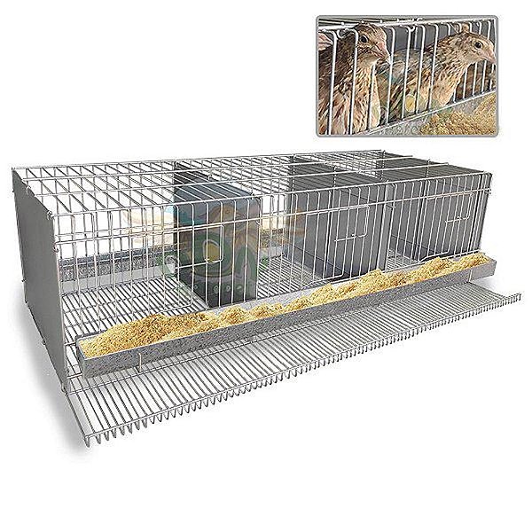 Gaiola Codorneira 03  Divisoes - P 107