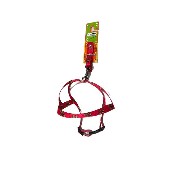 Conjunto Guia e Peitoral Tropical Para  N2 - Murano