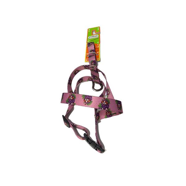 Conjunto Guia e Peitoral Tropical Para  N3 - Murano