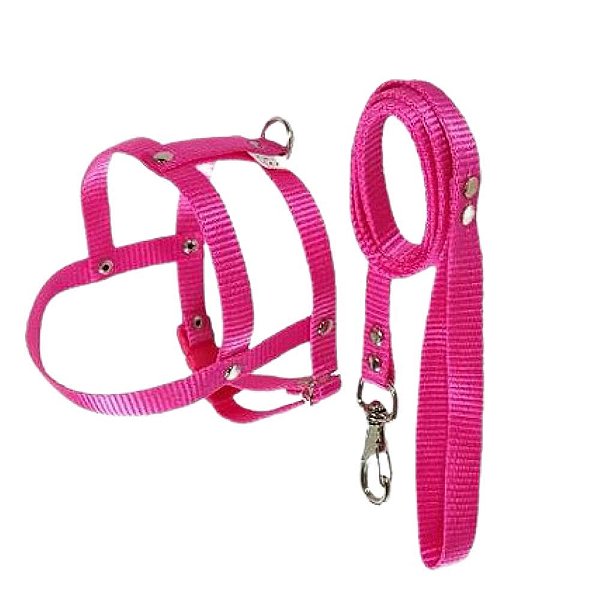 Conjunto Guia e Peitoral Ajustavel N1 - Zanella