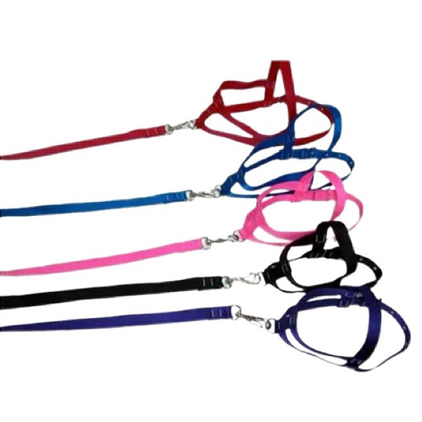 Conjunto Guia e Peitoral Ajustavel N3 - Zanella