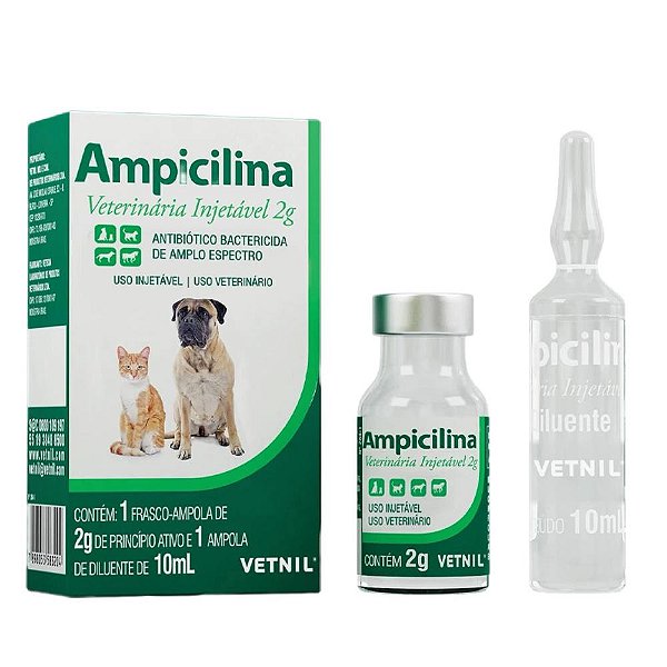 Ampicilina Inj 2g 10ml - Vetnil