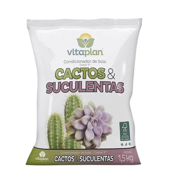 Terra Especial Para Cactos e Suculentas 2kg - Cassul