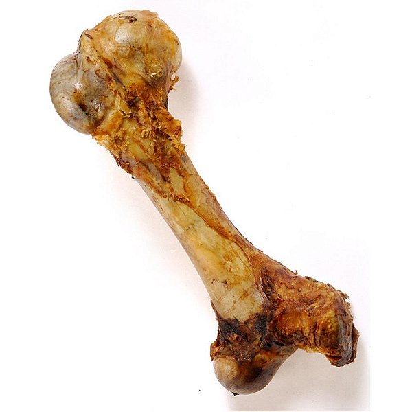 Osso Femur Bovino