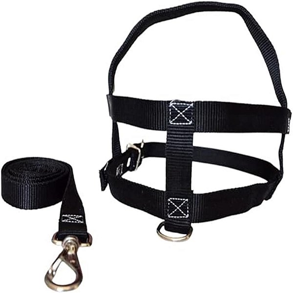 Conjunto Guia/peitoral Reg.Nylon em X N.04