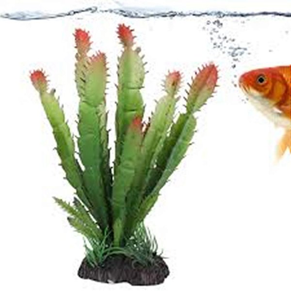 Planta P/ Aquario Cactus