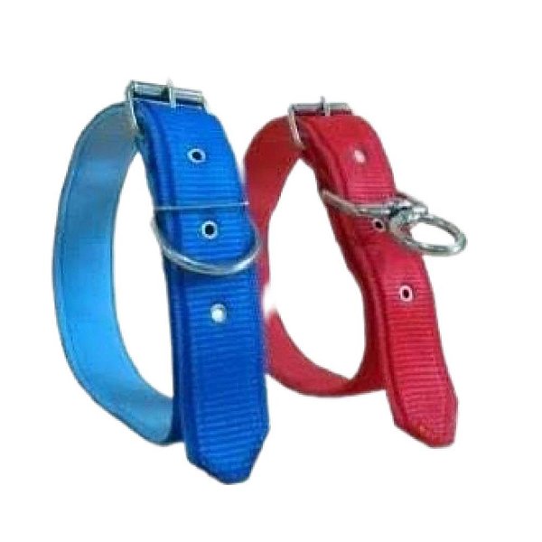Coleira Nylon Couro Eva N5 - Bicho Com Luxo