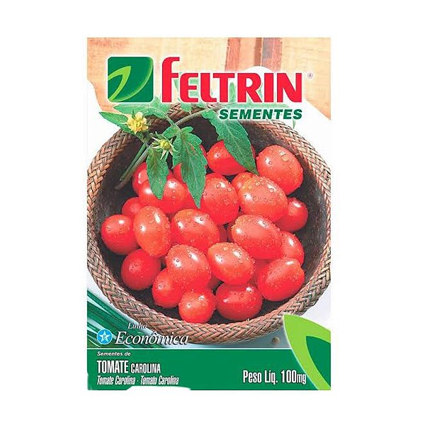 Muda de Tomate Comum Cereja Carolina Pote