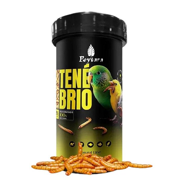 Racao Tenebrio 40g - Poytara