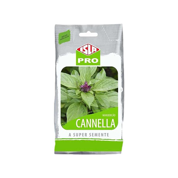 Semente Manjericao Cannella 1g