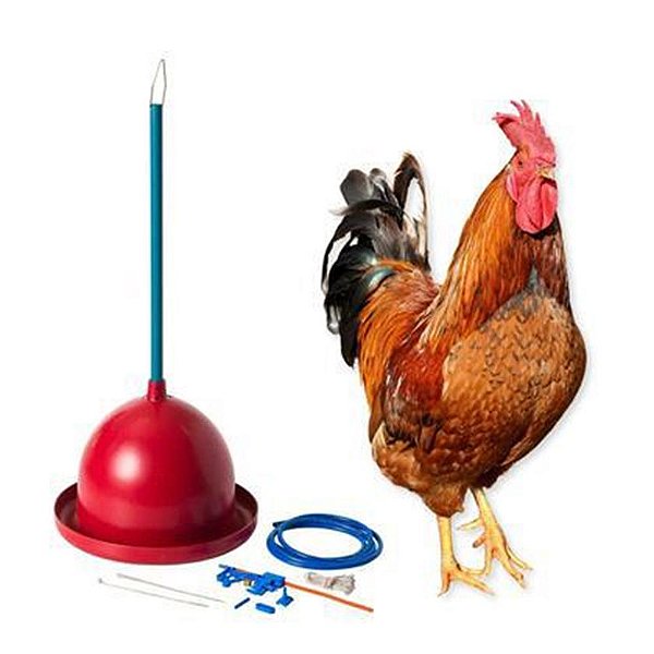 Bebedouro Pendular-Cassul