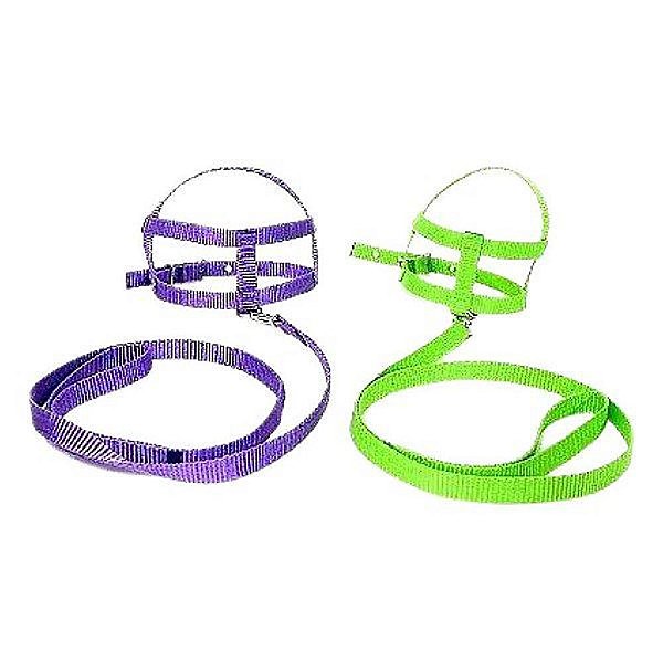 Peitoral Guia Clx Regul 0 - Bicho Com Luxo