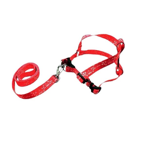 Peitoral Guia Austra Cl P - Bicho Com Luxo