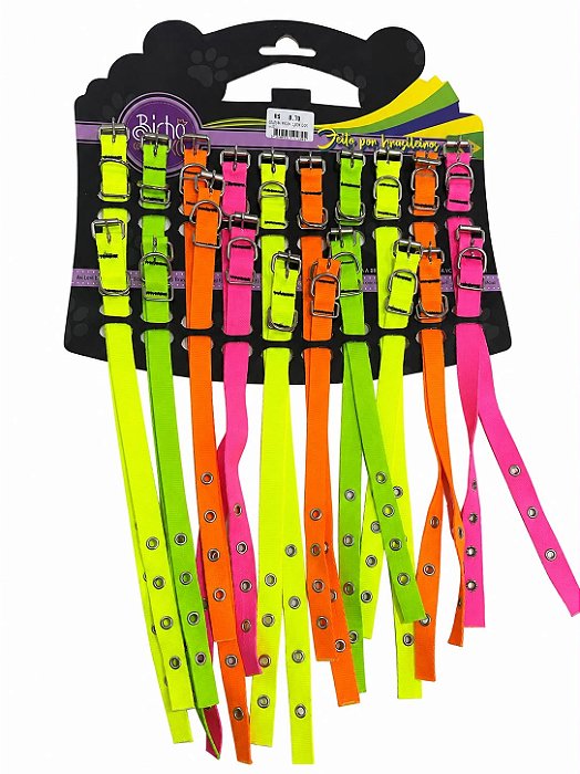 Coleira Neon - Bicho Com Luxo