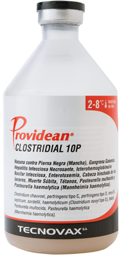 PROVIDEAN CLOSTRIDIAL 10P