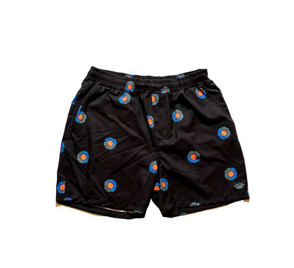 Short praia south to south