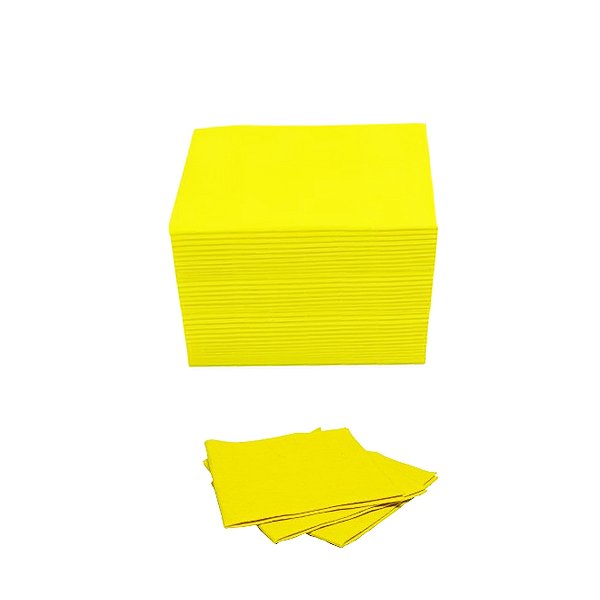 Toalha Absorvente Industrial Pralim 29cm X 30cm 50 Un