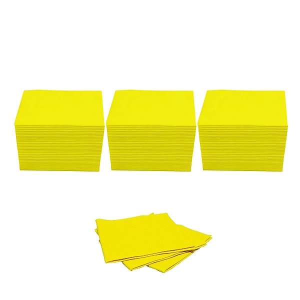 Toalha Absorvente Industrial Pralim 29cm X 30cm 50 Un Kit 3