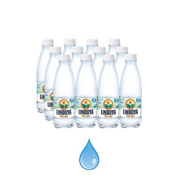 Água Mineral Lindoya Sem Gás 300ml Kit 12 Unid