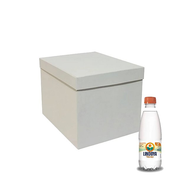Água Mineral Lindoya C Gás 300Ml Kit 12