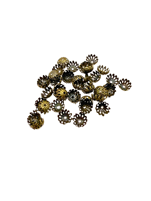 Tulipa estrela ouro velho 10 mm