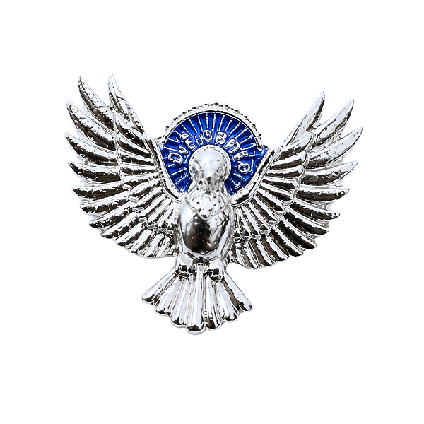 Broche Divino Espírito Santo Níquel