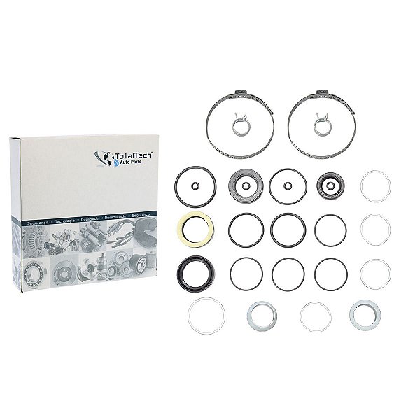 Reparo Caixa De Direção Hidráulica BMW Série E36 - Sem Coifa