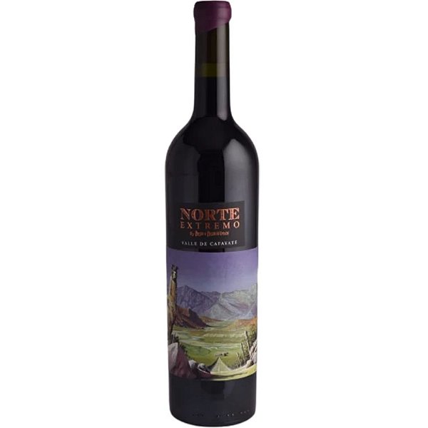 Paso a Paso Norte Extremo Cabernet Sauvignon 2022