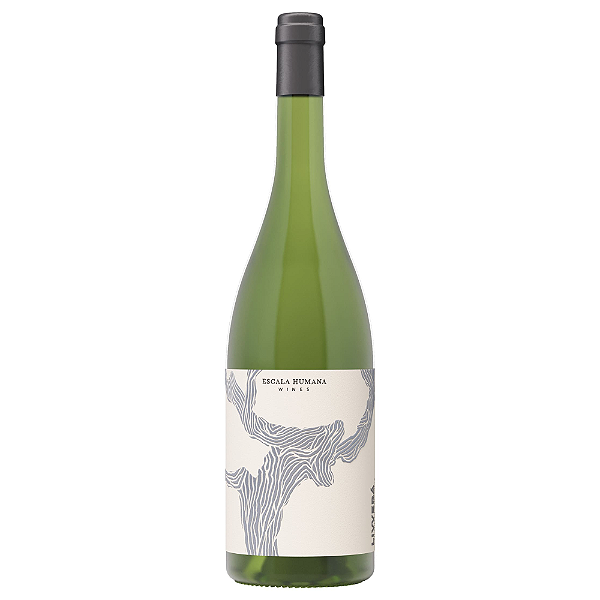 Livverá Chenin Blanc 2025