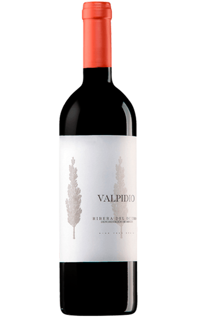Vinho Tinto Bodegas Casajus Valpidio
