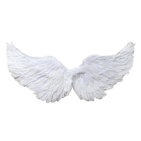 ASA DE ANJO BRANCO - HALLOWEEN