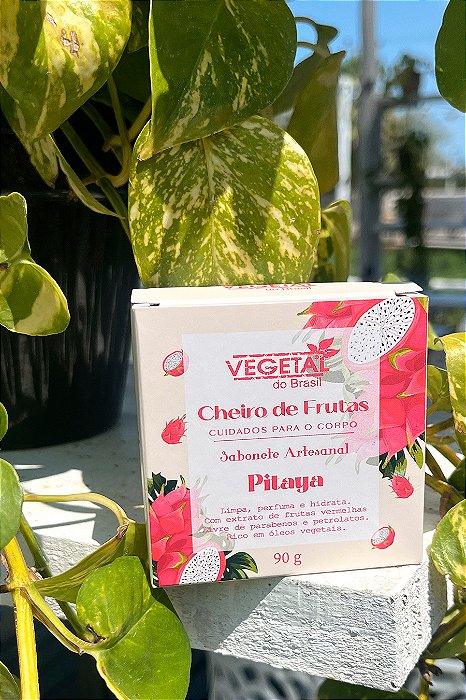 SABONETE ARTESANAL DE PITAYA- 90G- VB