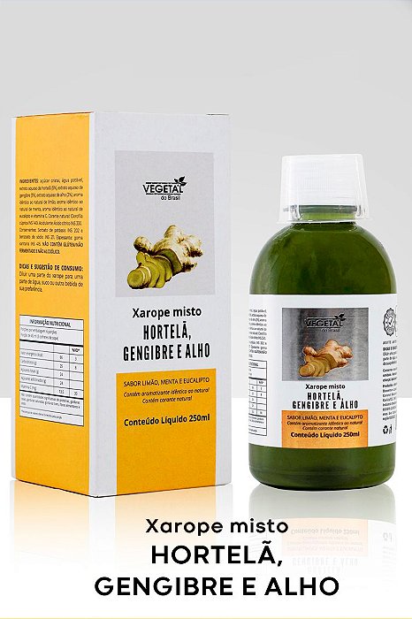 XAROPE GENGIBRE E HORTELA 250ML VB