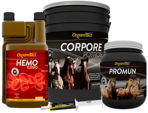 Kit Potro Elite