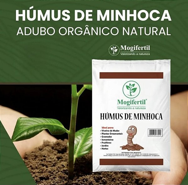 Humus 2KG