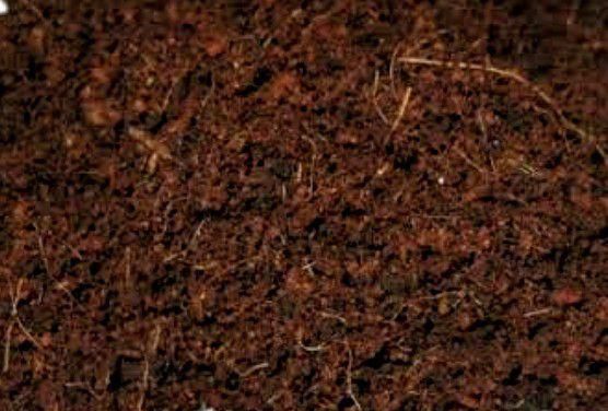 Pó de Coco 3L