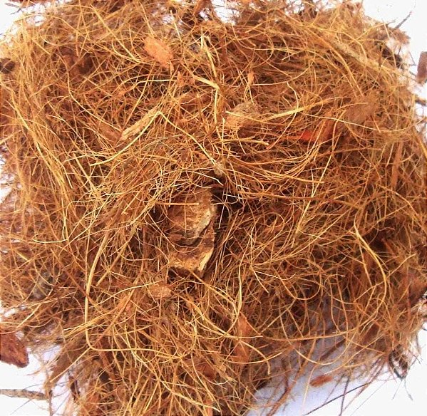 Fibra de Coco 40L