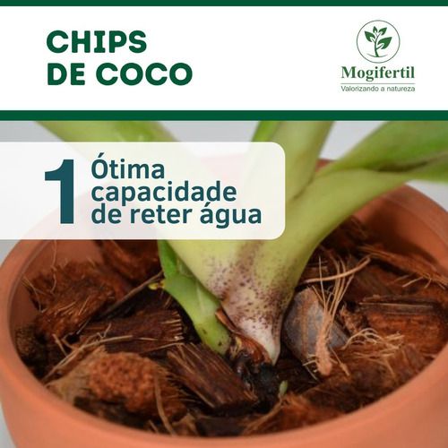 Chip de Coco 40L