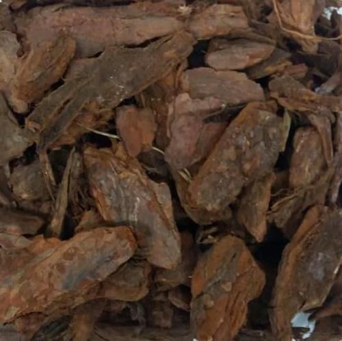 CASCA DE PINUS SEMI POLIDA NATURAL DECORAÇÃO 10 LTS