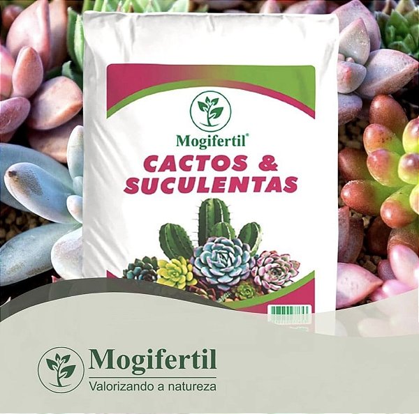 Substrato Cactos e Suculentas 5 kg