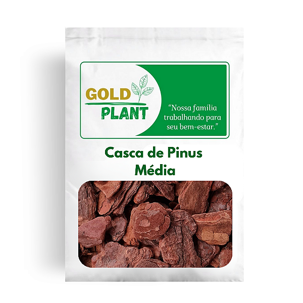 Casca de Pinus Polida Media para Decoração