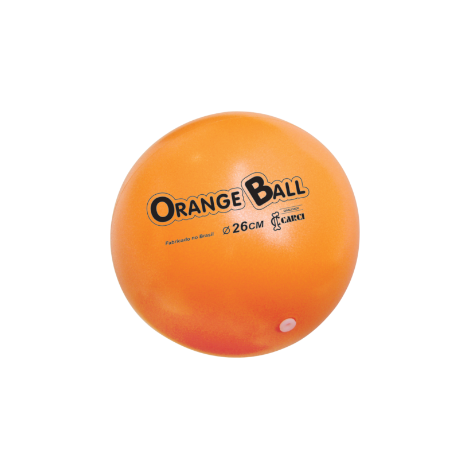 Bola para exercícios Orange Ball 26 cm de diâmetro - BL.01.26 - Loja do  Estetoscópio