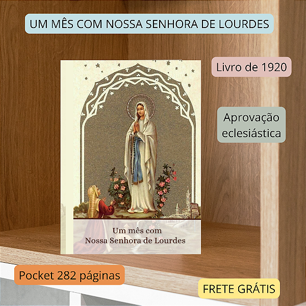 UM MÊS COM NOSSA SENHORA DE LOURDES - Livro com aprovação eclesiástica - frete grátis