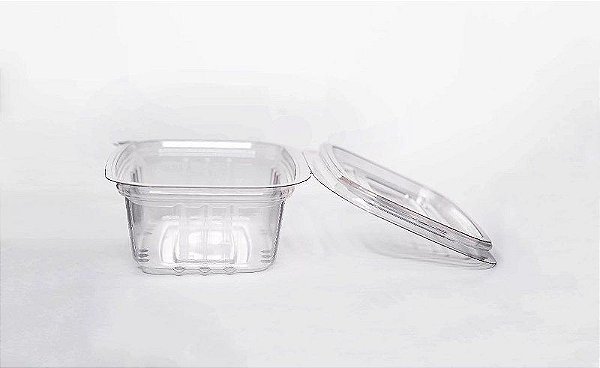 EMBALAGEM RETANGULAR ARTICULADA PET 88 C/10 UND
