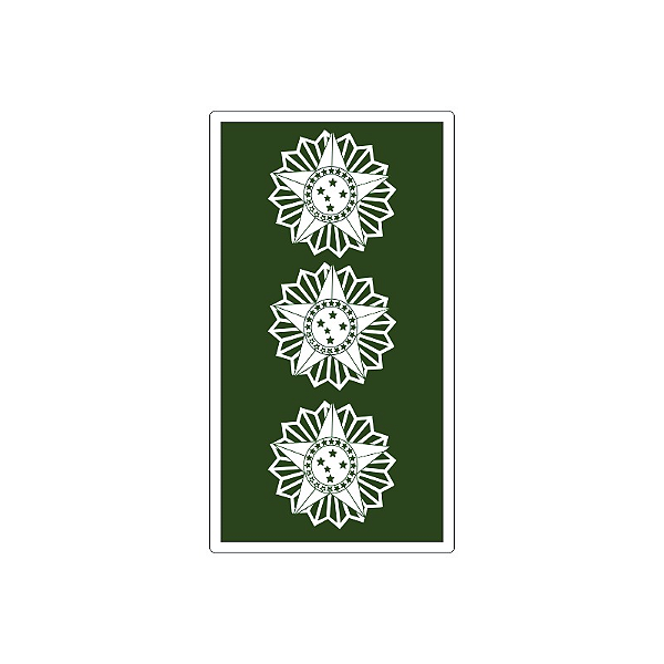 Divisa Emborrachada Coronel | Exercito Brasileiro