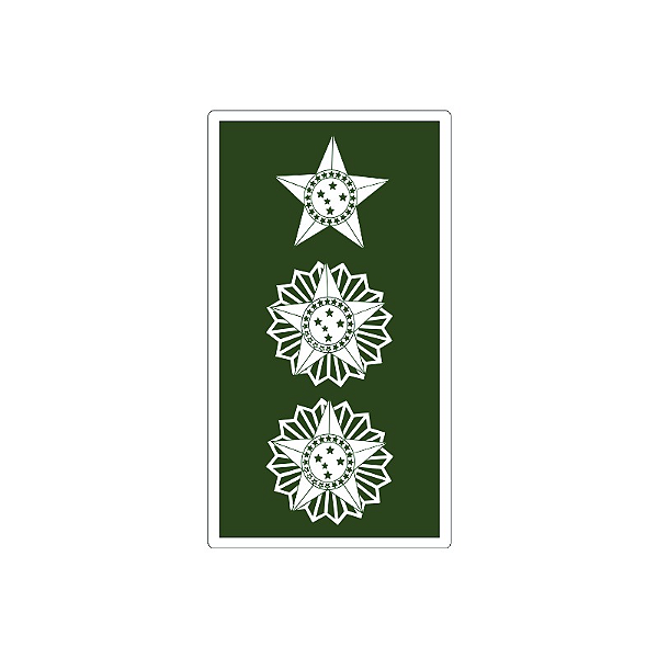 Divisa Emborrachada Tenente Coronel | Exercito Brasileiro