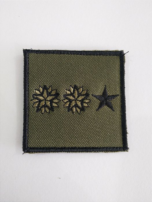 Divisa Ten Coronel EB Bordada