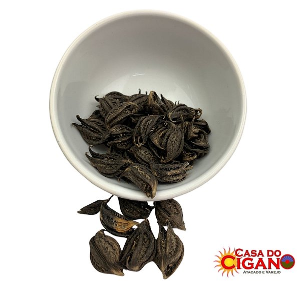 Fava – Garra de Pombagira – Unidade