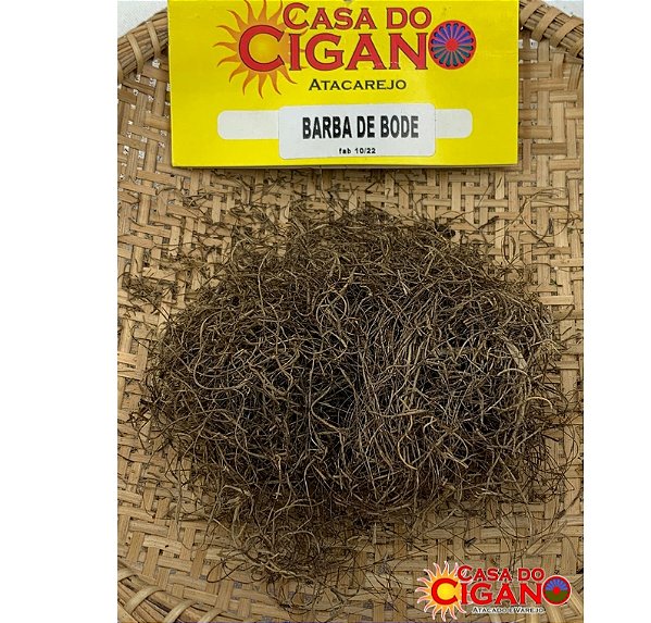 Erva Simples Barba de Bode - Casa do Cigano