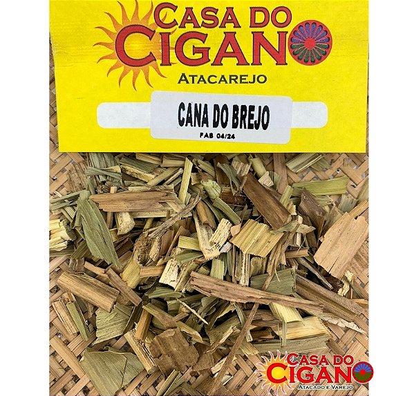 Erva Simples Cana Do Brejo - Casa do Cigano